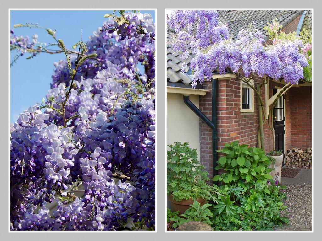Hoevell Huizen Bagian luar foto